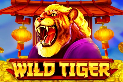 Wild Tiger,
